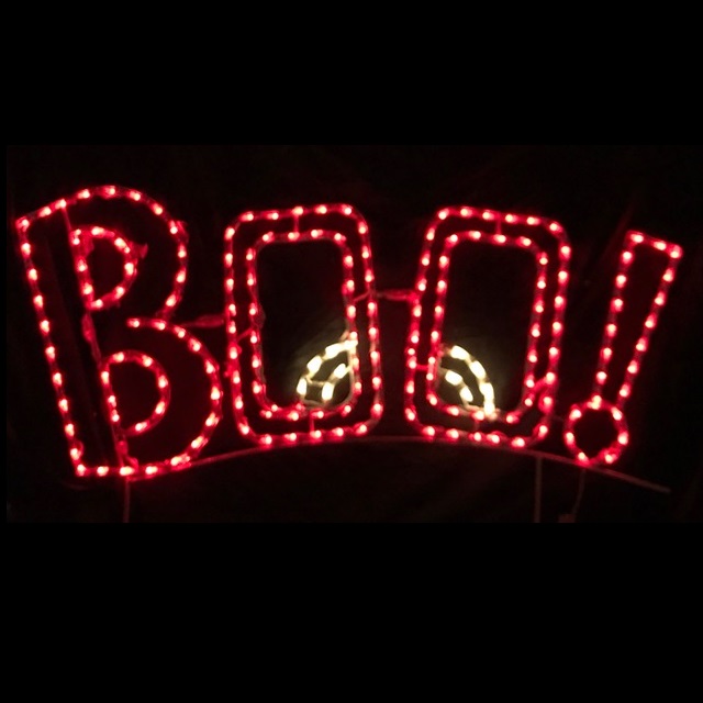 BOO! LED Lighted Outdoor Halloween Decoration