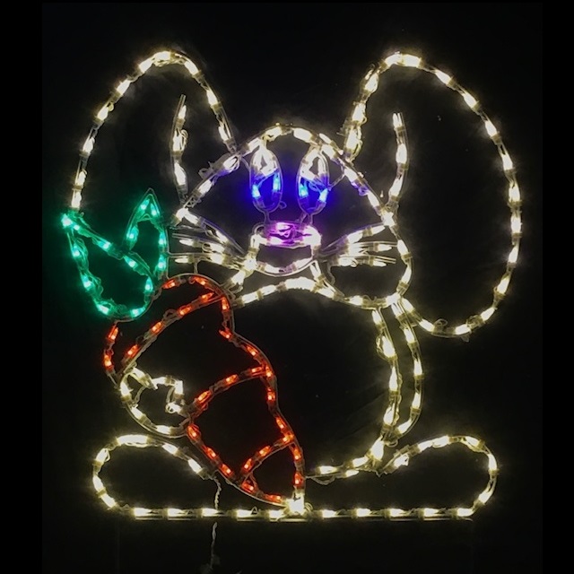 Floppy Ear Bunny with Carrot LED Lighted Outdoor Easter Decoration